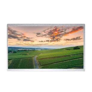 AUO G104STN01.6 10.4" 800x600 Hig...