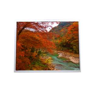 G121STN02.0 AUO 12.1" 800x600 SVG...