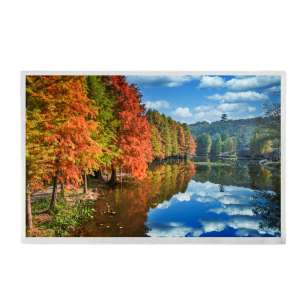AUO G121EAN01.3 12.1" 1500nits LC...