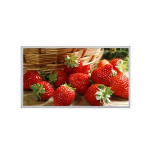 AUO G156HTN02.0 15.6" Industrial ...