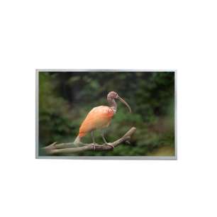 AUO G156HAN04.0 15.6" Outdoor IPS...