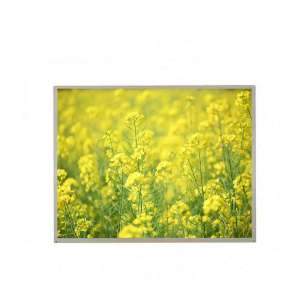 Original AUO G170EG01 V104 17" T...