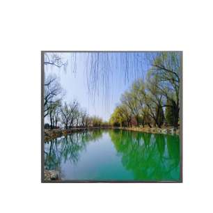 AUO G170HAN01.1 17" Square TFT L...