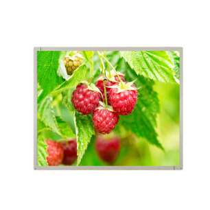 AUO G190ETN01.8 19" Outdoor LCD ...