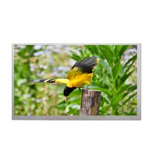 G070Y3-T01 7" TTL Industrial TFT...