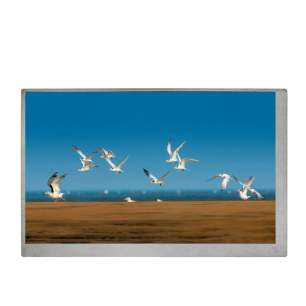 G070ACE-L01 7" IPS TFT LCD | In...