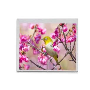 Innolux G057VCE-TH1 5 7-inch TFT...