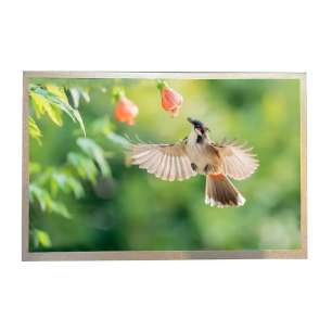 Chimei Innolux G101ICE-LM1 10.1" ...