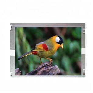 G104AGE-L02 10.4" SVGA LCD 800x60...