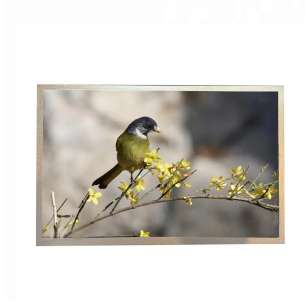 G104XCE-LM1 10.4" XGA IPS LCD Pa...