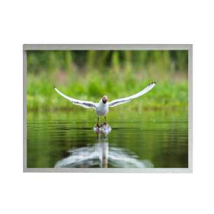 G104XCE-L01 10.4" IPS Industrial ...