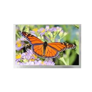 G080Y1-T01 Chimei Innolux 8" 800x...