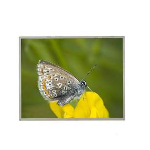 G101ICE-L03 10.1-inch TFT LCD Scr...