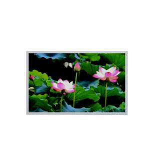Innolux G121I1-L01 12.1 "LCD scre...