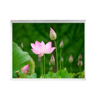  G121X1-L03 12.1 "Industrial LCD...