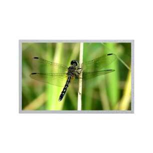 G121XCE-L01 12.1" XGA Industrial ...