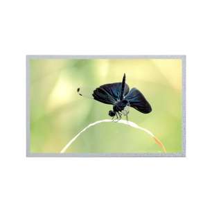 G121ICE-L01 12.1 "IPS industrial ...