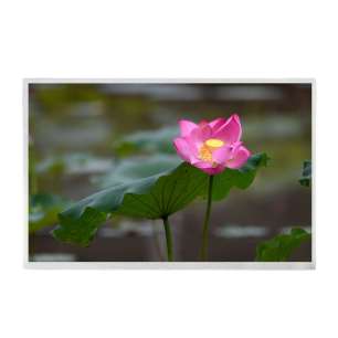 G121XGE-L01 12.1" 1024x768 LCD Pa...