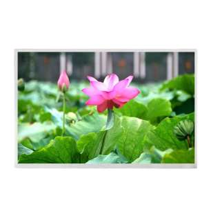 G121ACE-LH2 12.1" SVGA High Brigh...