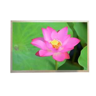 Innolux G121X1-L02 12.1 "industria...