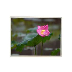 G121XCE-L02 12.1" XGA IPS Industr...