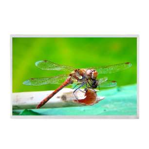 G121XCE-LM1 12.1" XGA Sunlight Re...