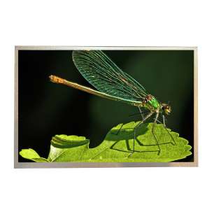 G121ACE-LH1 12.1" XGA Industrial ...