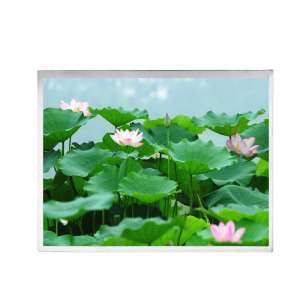 G121ICE-LH1 12.1" WXGA IPS Indust...