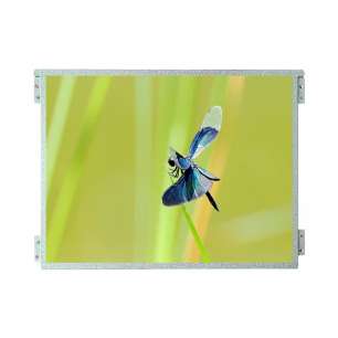 G104XCE-LH1 10.4inch IPS TFT LCD...