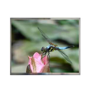 Innolux G121S1-L02 12.1 "IPS Indu...