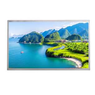 Innolux G156BGE-L03 15.6" HD Indu...
