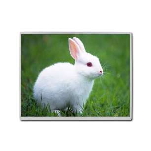 G121ICE-LH2 12.1" WXGA IPS Indust...