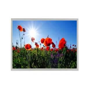 Chimei Innolux G150XGE-L04 15" Wi...