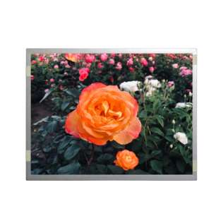 G150XGE-L06 Chimei Innolux 15" LC...