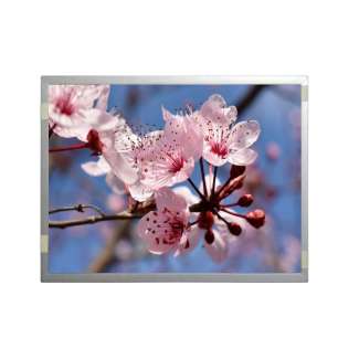 G150XGE-L07 Chimei Innolux 15" LC...