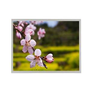 G150XNE-L01 CMI 15" NPVA LCD Dis...