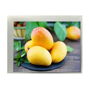 TCG057QVLGA-G00 5.7" QVGA LCD | ...