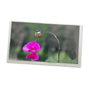 TCG070WVLPEANN-AN20 7" Original In...