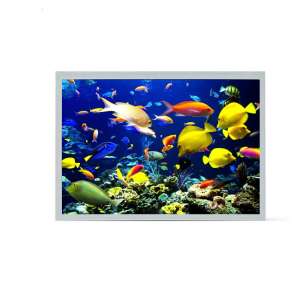 Original Kyocera 10.4" LCD Displa...