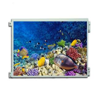 Original Kyocera 12.1" IPS LCD P...