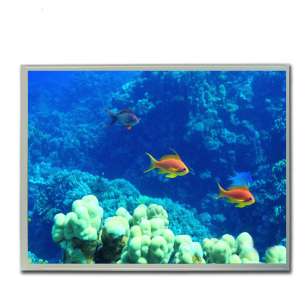 Original Kyocera 12.1" Industrial...