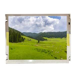 TIANMA 9.7" Industrial TFT LCD P...
