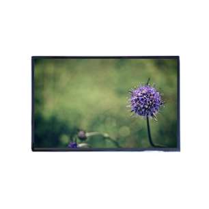 Tianma 10.1" IPS LCD Panel - TM...