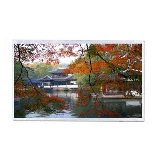 Tianma 10.1" LVDS LCD Module - ...