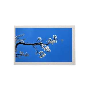 Tianma 10.1" Medical LCD - TM101...