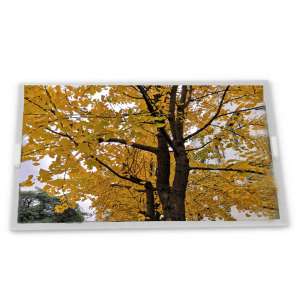 Original TIANMA TM150TDSG80 15" L...