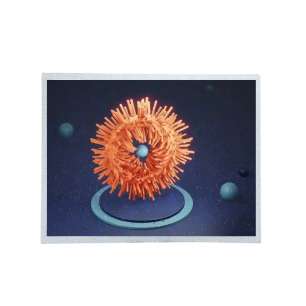 Original TIANMA TM150TDSG71 15" L...