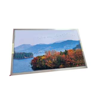 Tianma TM156VDSG16 15.6" FHD LCD...