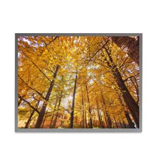 TIANMA TM150TDS50 15" XGA Screen...