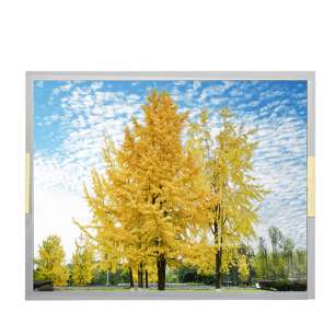 TIANMA TM150TDSG70 15" LCD Displa...